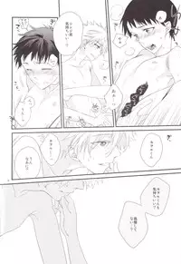 (C84) [Pink Elephant (Kotori)] circle cycle circurate (Neon Genesis Evangelion)