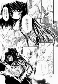 [Hayase Hashiba] Good Luck Charm