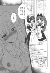 (C94) [PLUM (Kanna)] Magical SEED MAID (Mahou Shoujo Lyrical Nanoha)