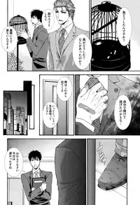 [Aikawa Itaru] Kabeana