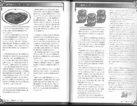 (C93) [クロビネガ (健康クロス)] 魔物娘図鑑ワールドガイド外伝2 サルバリシオン～レスカティエの魔界騎士たち～