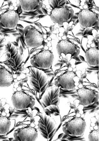 (C62) [C.Bjim (Togawa Hanamaru, Tamanoi Iroha)] Super Storawberry (Utawarerumono, Chobits)