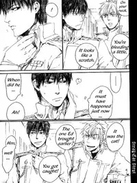 [NINEKOKS (Kyuugou)] Stray Cat Strut #5.5 (Full Metal Alchemist) [English]