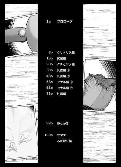 Madougu-ya no Kyokubu Seme Choukyou Nisshi