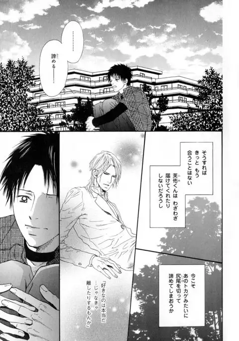 b-BOY Phoenix Vol.11 Shiroisha Tokushuu