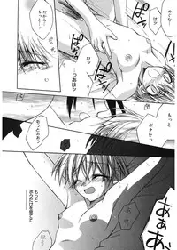 [Suzudama Renri] Red Corolla [Digital]