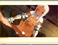 Eiyuu＊Senki GOLD Visual Fanbook