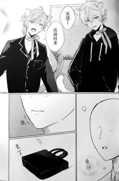 Neko no Iru Seikatsu | 有猫的生活