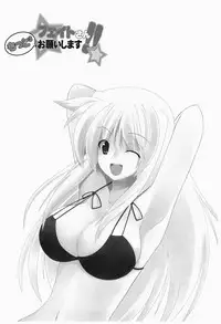 [Hokushintei (Nanao Mizuho)] Fate-san Motto³ Onegai Shimasu!! (Mahou Shoujo Lyrical Nanoha StrikerS) [Digital]