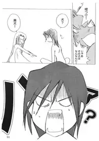 Kopigura ( Hellsing )