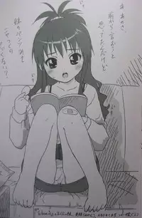 (C71) [Ocarina (Dyontairan)] Cowaremono #6.5