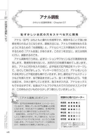 Zero kara Hajimeru SM Manual Kawaii Dorei Shiikujutsu