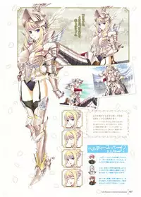 Walkure Romanze Visual Fan Book