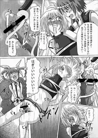 [aka dama tenpo] beni no sho (Mahou Shoujo Lyrical Nanoha)