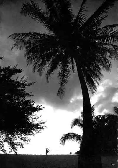 Chakushou! Haramase Shima