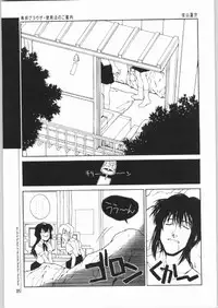 (C65) [Junk Arts (Nukiyama Gaisei)] An Exclusive Browser (Battle Programmer Shirase)