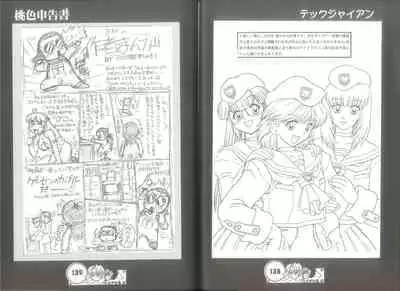 桃色申告書 ver.MILLENNIUM FALCON