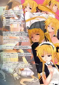 (C94) [TRI-MOON! (Mikazuki Akira!)] piena (Mahou Shoujo Lyrical Nanoha)