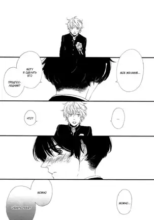 The Daydreamer Falls in Love