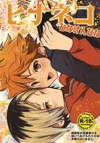 (IDLING ATTACKER7) [Chigen TORINO (S.kosugi)] Hina Neko (Haikyuu!!)