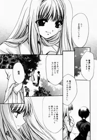 [Hayase Hashiba] Good Luck Charm