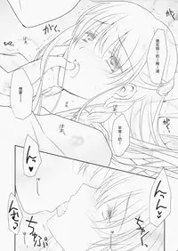 (C79) [LOVE# (Louis & Visee)] Konketsu Kanojo (Tactics Ogre) [Chinese] [RSV个人汉化]