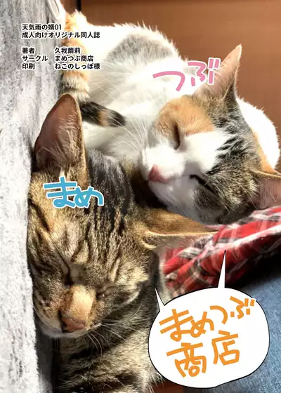 [Mametsubu Shouten (Taiban Steak)] Tenkiame no Muko [Chinese] [零食汉化组] [Digital]