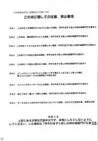 (CR29) [VENOM, ElectromagneticWave (various)] WILD FLOWERS (Kanon)