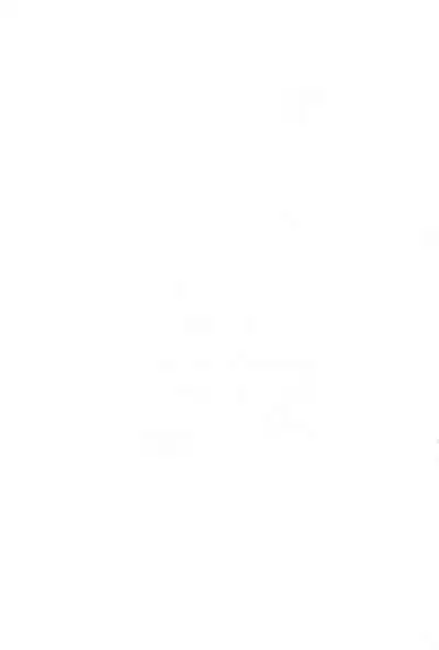 Magejun Nagoya Shucchou-ban