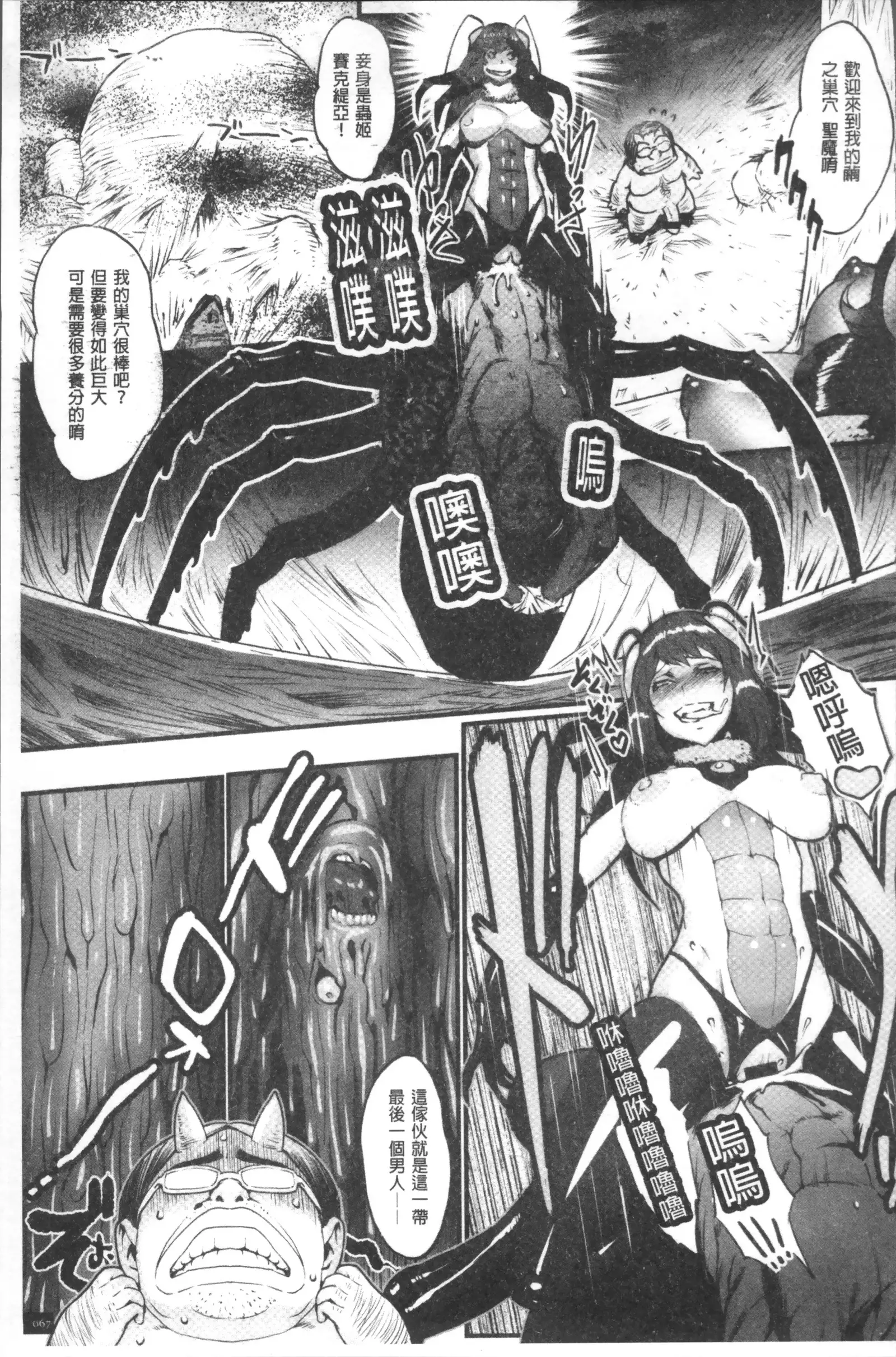 Hime to Dragon - Princess & Dragon | 姬與淫猥惡龍