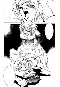 (C48) [METAL BOX (Various)] METAL BOX No.3 Vampire Only (Darkstalkers)