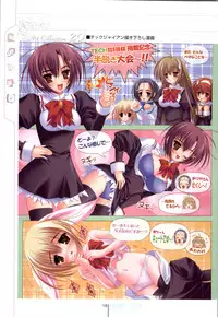 Otome wa boku ni koi shiteru Visual Fanbook (Otoboku)