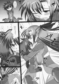 (C75) [Neko Irazu (Hinoki)] Eri Gin (Mahou Shoujo Lyrical Nanoha)