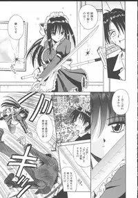 [Matra Milan] Palladium Garden