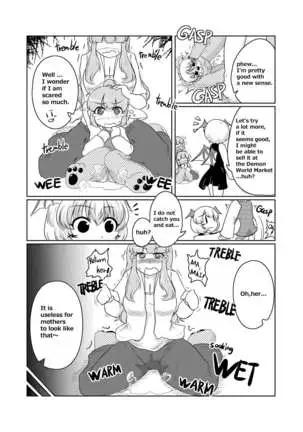 Henka-kei-bo TF Account book