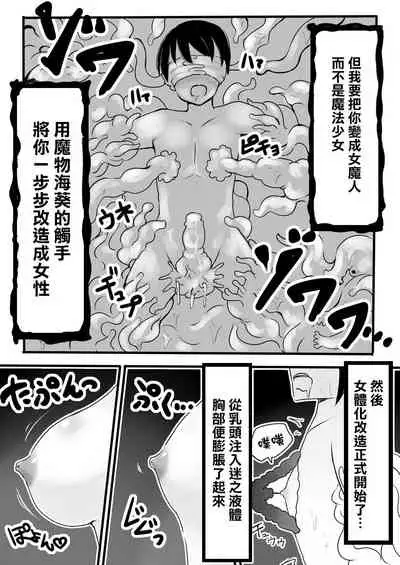 Mahou Shoujo Estrogia & Mahou Shoujo Gestagenia