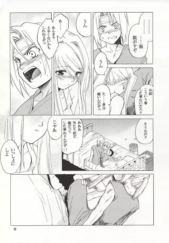 Fullmetal Alchemist - EDxWIN