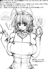 (C73) [Digital Tambourine (hiiaru)] predilection.