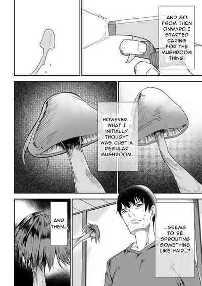 Kasa ga Hiraku Toki | When the Pileus Unfolds