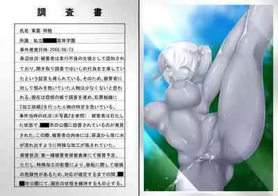 ASFR Jiken Chousa Kiroku