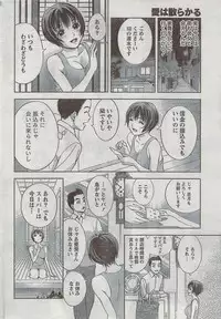 Monthly Vitaman 2008-08