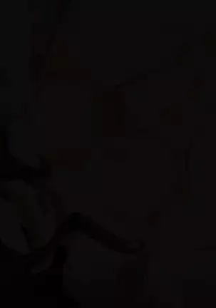 Bou YariCir Kanzen Kanshuu - Shinnyuusei no Pakorikata Manual