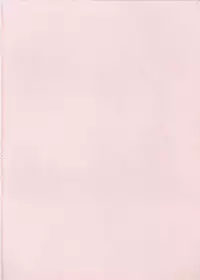 (C64) [DiGiEL (Yoshinaga Eikichi)] Black Cherry (Cardcaptor Sakura)