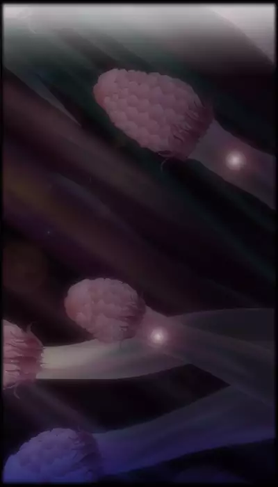 Kotou no Ki -under the cave-