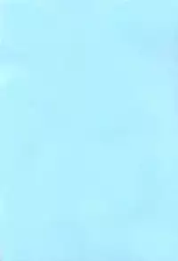 [FRESH FRUIT S (Various)] Rock'n ON (Mega Man NT Warrior)