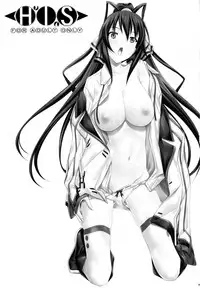 (COMIC1☆5) [IRODORI (SOYOSOYO)] H'I,S (Infinite Stratos)