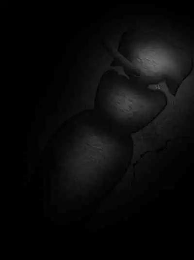 Pathetic Life（有条色狼汉化）