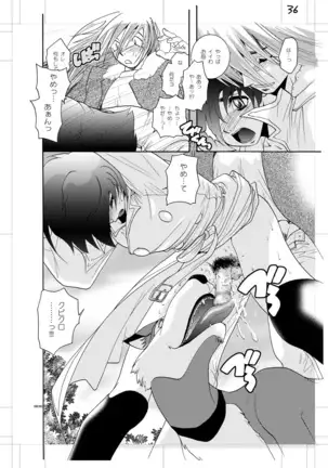 青年同盟MODE.肉欲