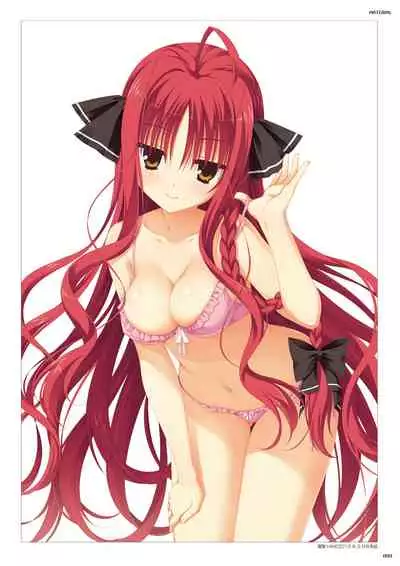 DRACU-RIOT! Official Visual Fan Book