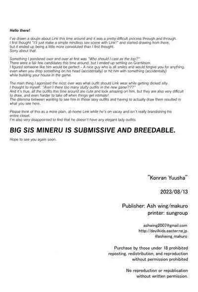 Konran Yuusha | The Legend of Link: Skyward "Sword"